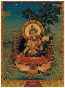 White Tara Gold card 5x7"
